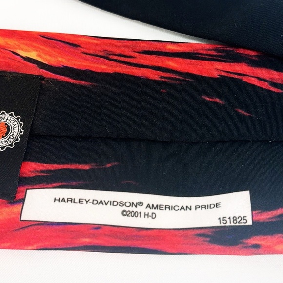 HARLEY DAVIDSON Graphic USA Hawk Tie Y2K Ralph Marlin 3 3/4” Wide - Picture 3 of 5